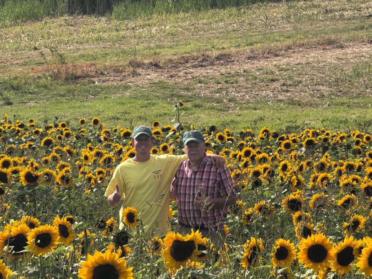 Two people standing in a sunflower field, both wearing hats.